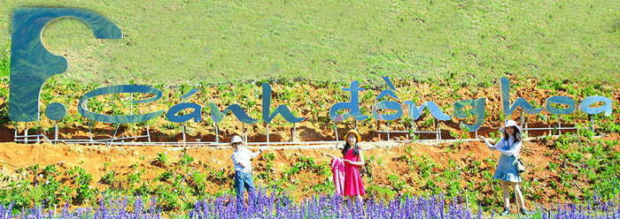 phat-cuong-voi-ve-dep-canh-dong-hoa-f-02