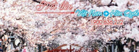 ve-may-bay-gia-re-di-han-quoc