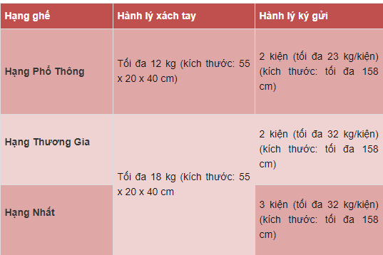 Quy định hành lý ký gửi khi mua vé máy bay đi Mỹ