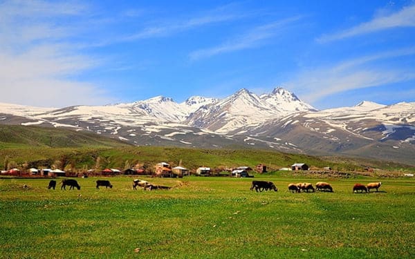 Bao giờ mở lại đường bay đi Armenia