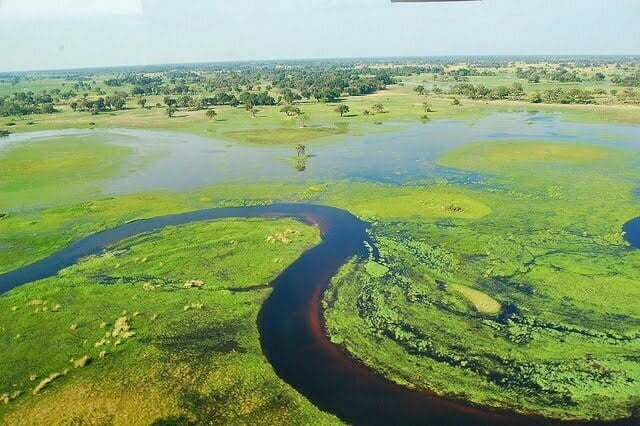 Vé máy bay đi Botswana